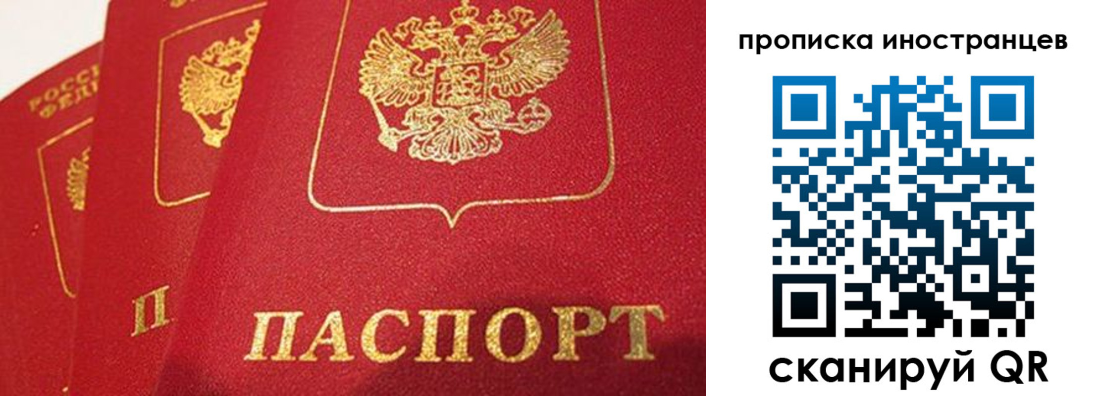 прописка поиск в Вологодской области